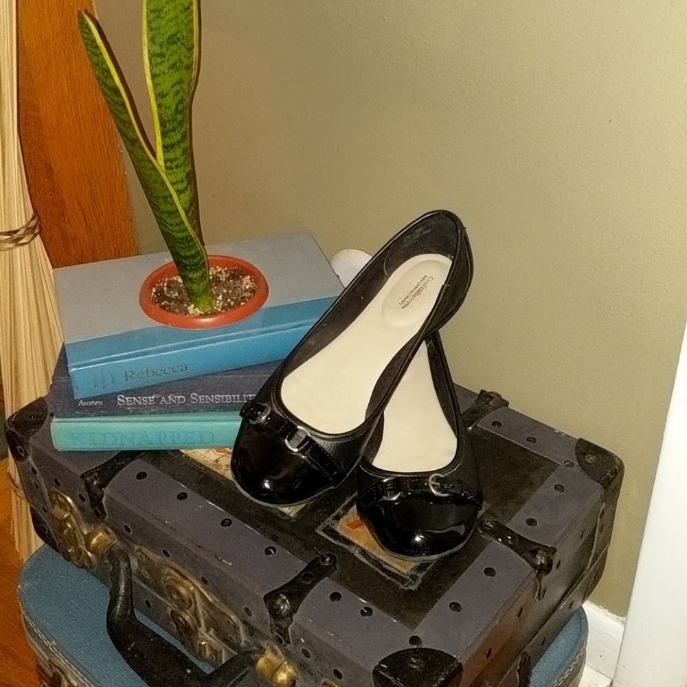 Black Flats